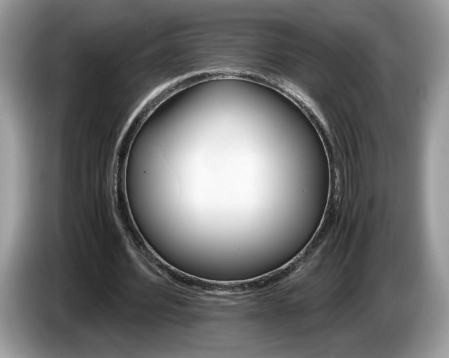 X0000087520580200704271142