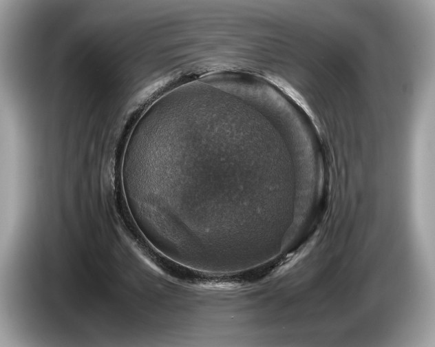 X0000087520581200704271142
