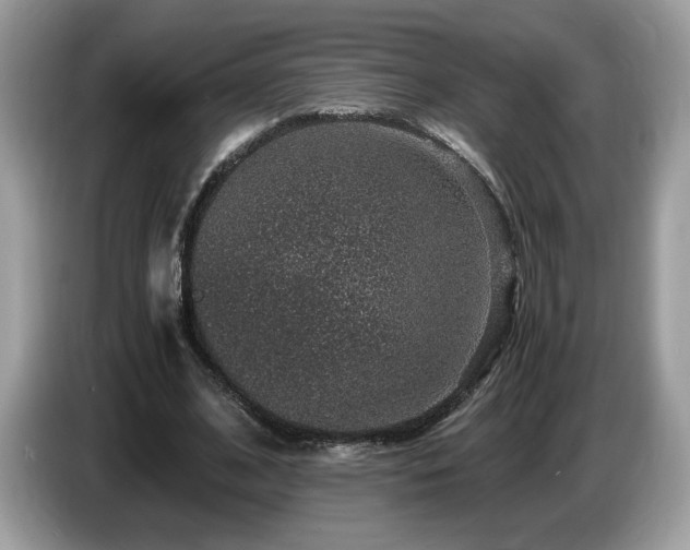 X0000087520584200704271142