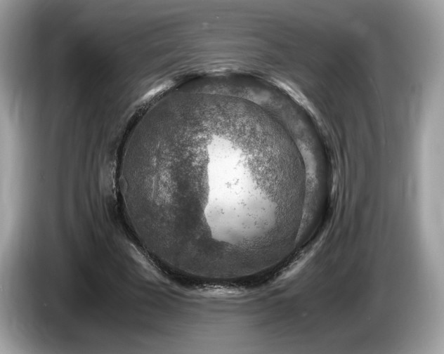 X0000087520585200704271142
