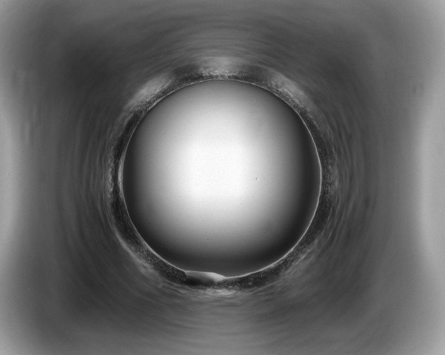 X0000087520586200704271142