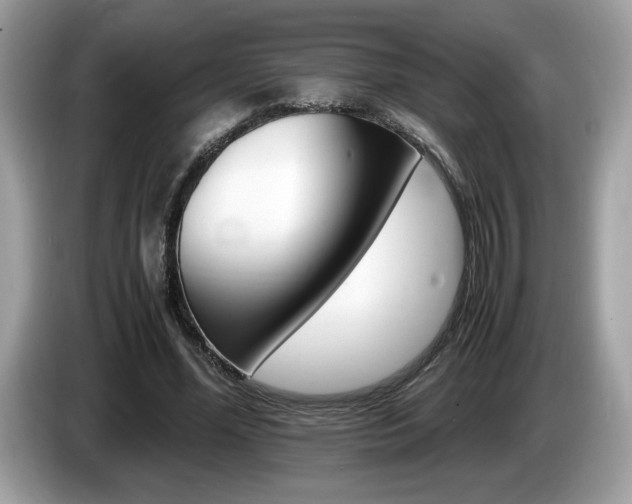 X0000087520588200704271142
