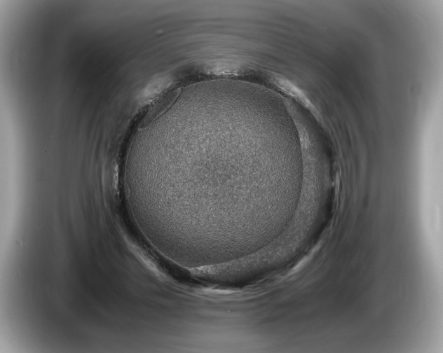 X0000087520589200704271142