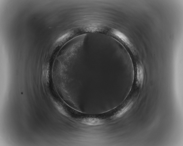 X0000087520590200704271142