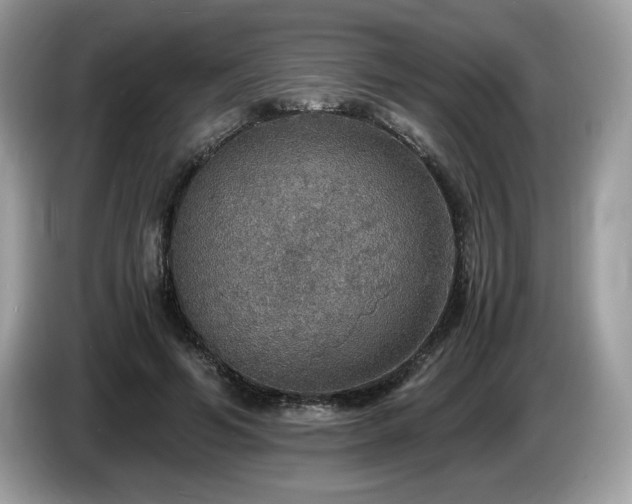 X0000087520594200704271142
