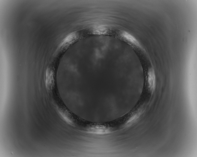 X0000087520598200704271142