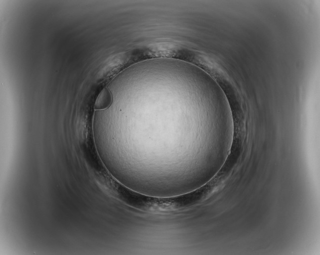 X0000087520599200704271142