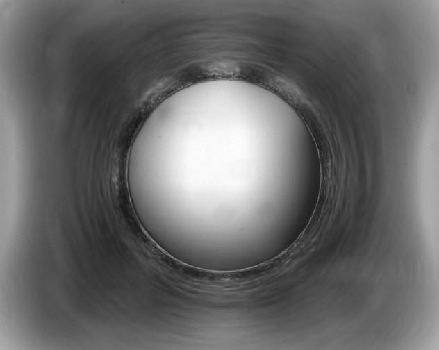 X0000087520600200704271142