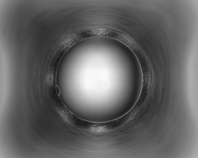 X0000087520602200704271142