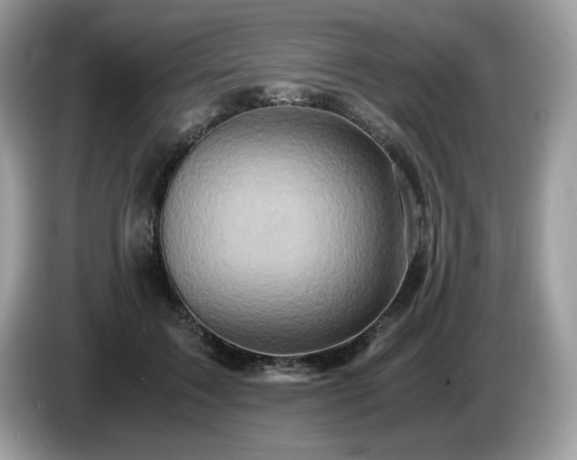 X0000087520603200704271142
