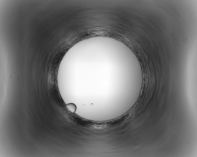 X0000087520606200704271141