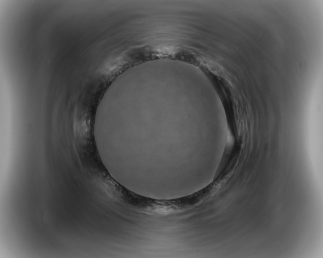 X0000087520608200704271141