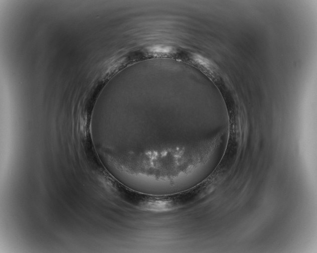 X0000087520610200704271141