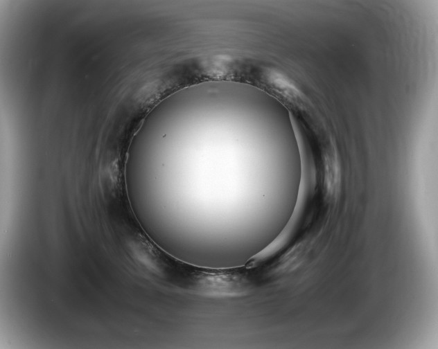 X0000087520611200704271141