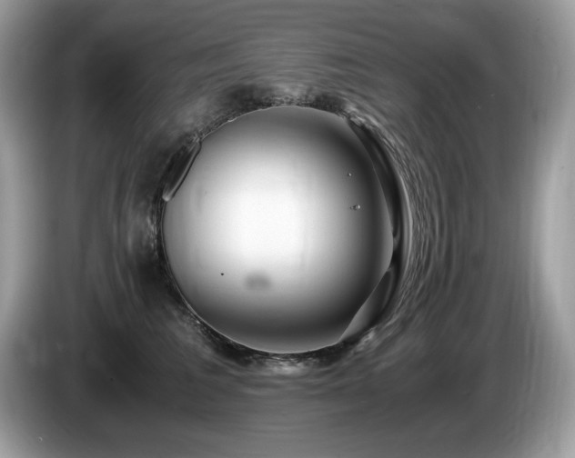 X0000087520613200704271141