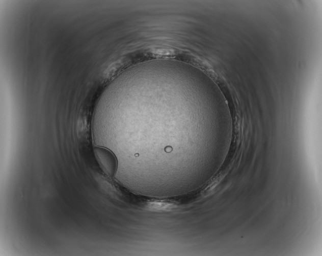 X0000087520614200704271141