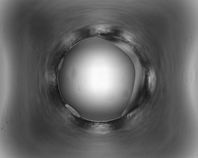X0000087520617200704271141