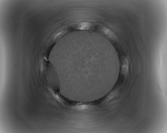 X0000087520620200704271141