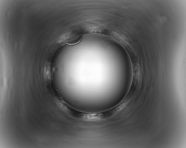 X0000087520622200704271141