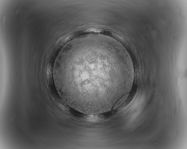 X0000087520623200704271141