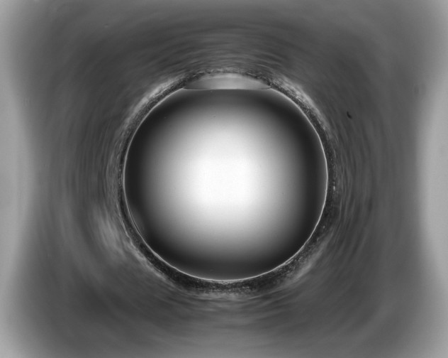 X0000087520625200704271141