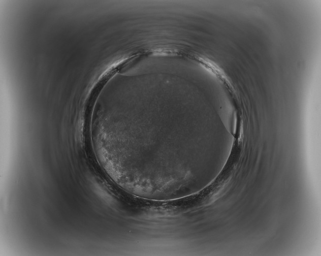 X0000087520627200704271141