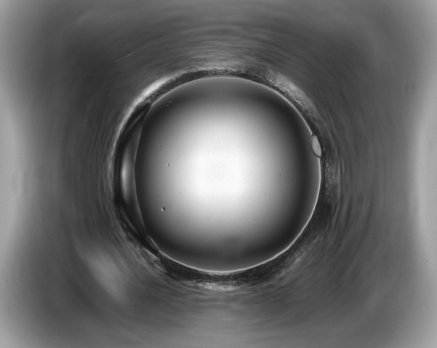 X0000087520628200704271141