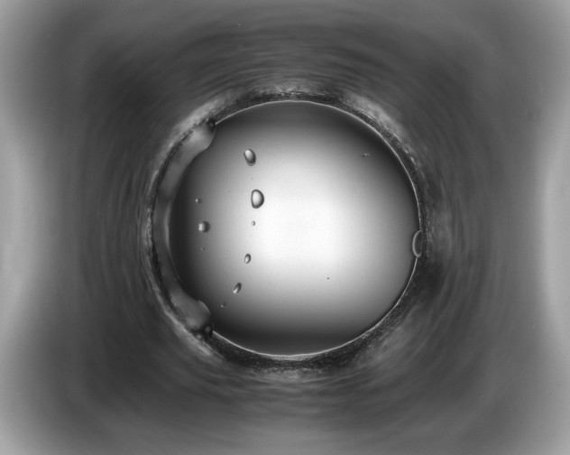 X0000087520629200704271141
