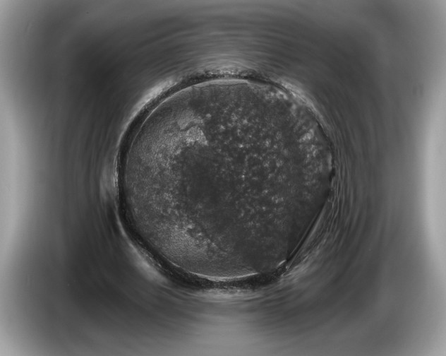 X0000087520630200704271141
