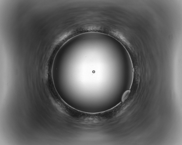 X0000087520631200704271141