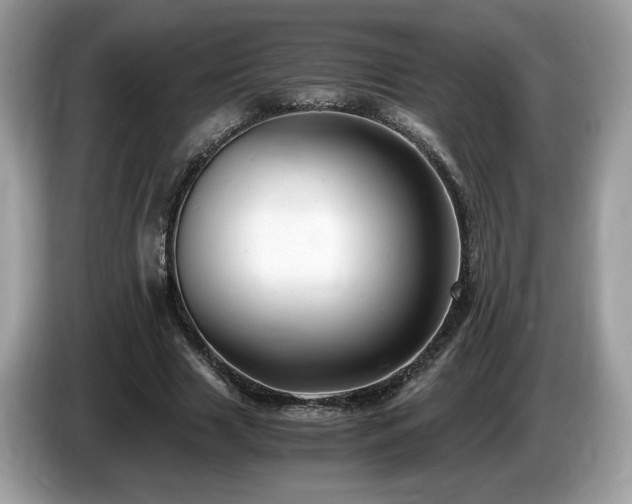 X0000087520633200704271141