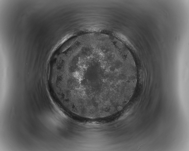 X0000087520634200704271141