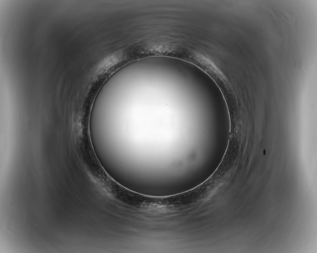 X0000087520635200704271141