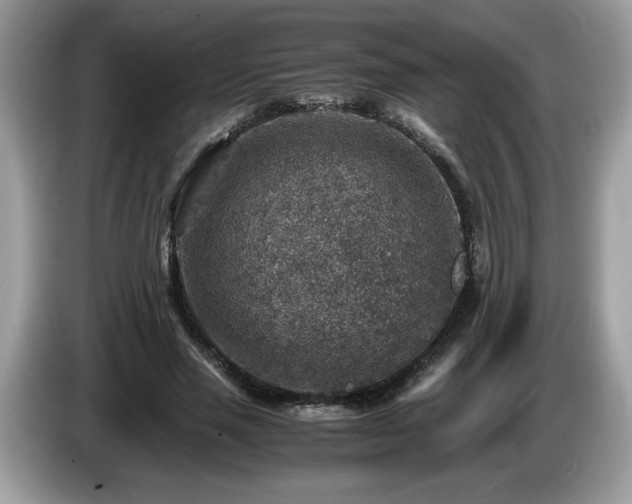 X0000087520637200704271141