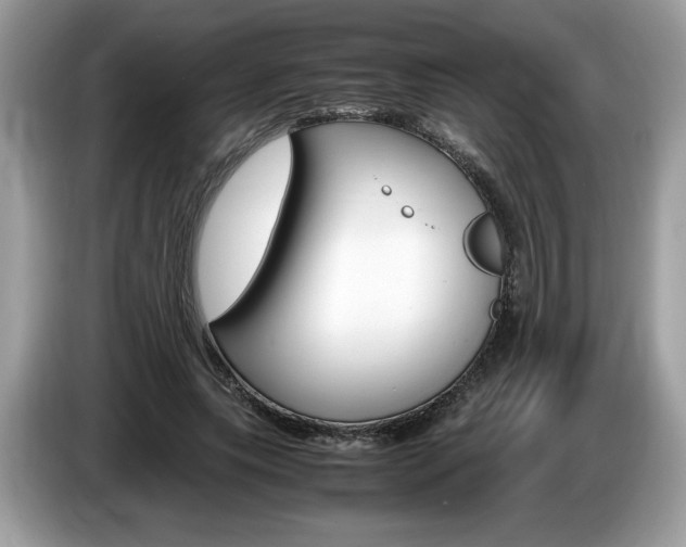 X0000087520639200704271141