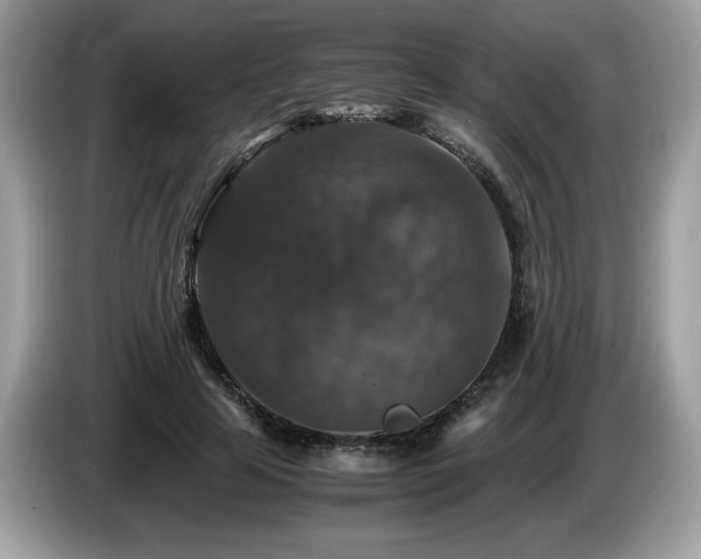 X0000087520641200704271141