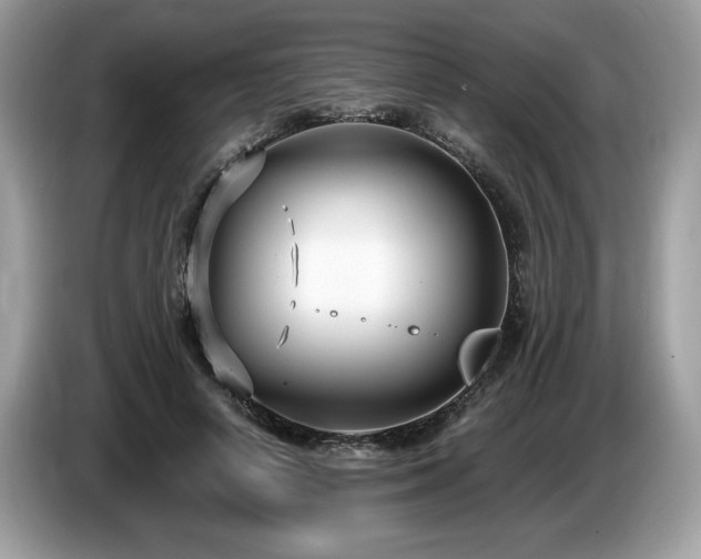 X0000087520642200704271141