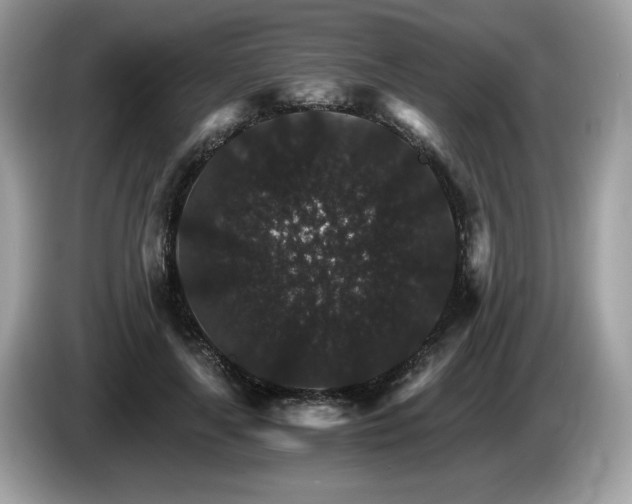 X0000087520643200704271141