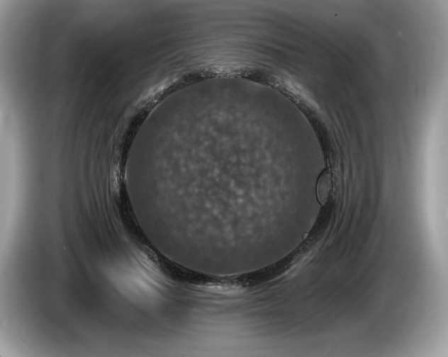 X0000087520644200704271141