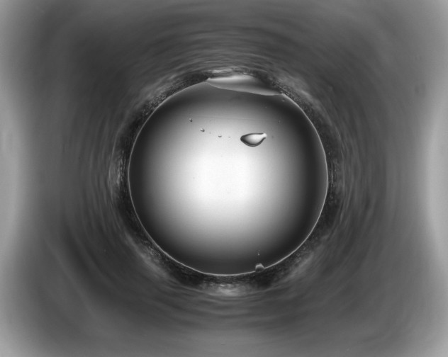 X0000087520645200704271141