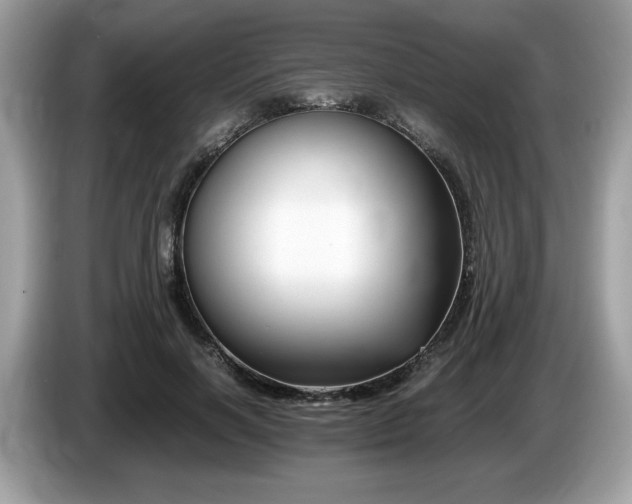 X0000087520646200704271141