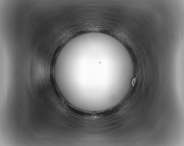 X0000087520647200704271141