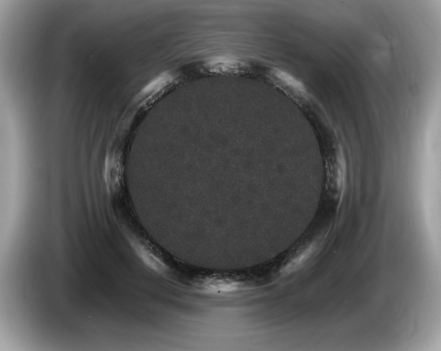X0000087520648200704271141