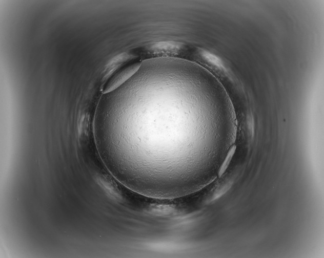 X0000087520649200704271141