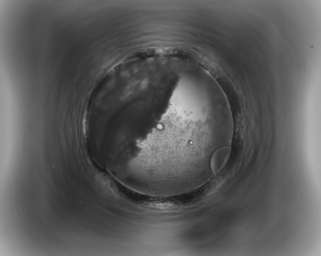 X0000087520650200704271141