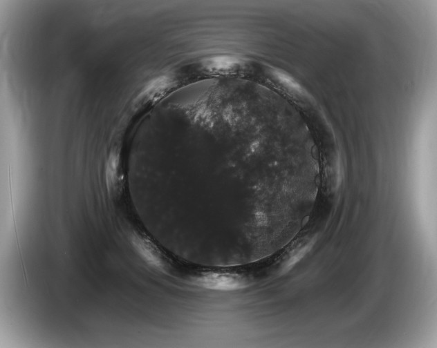 X0000087520654200704271141