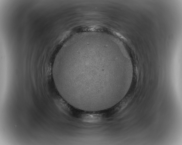 X0000087520657200704271141