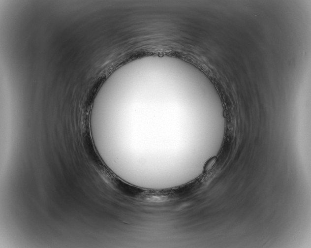 X0000087520658200704271141