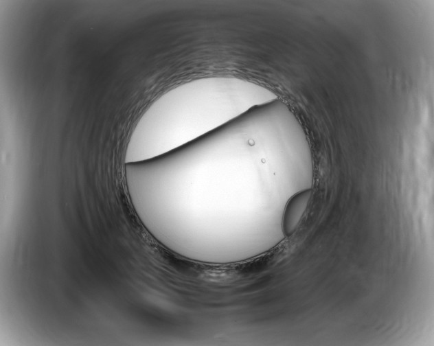 X0000087520659200704271141
