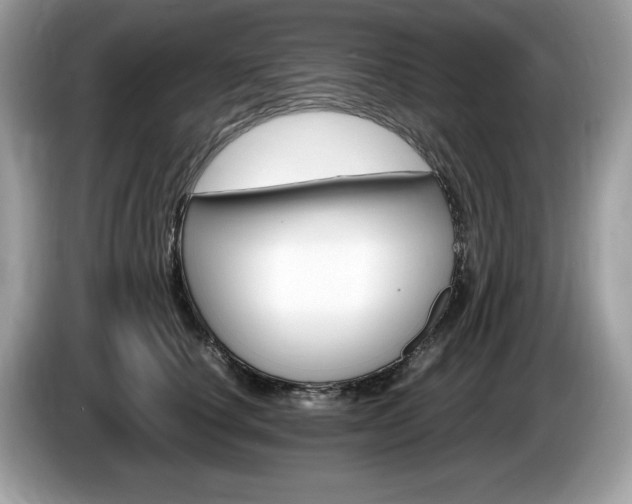 X0000087520660200704271141